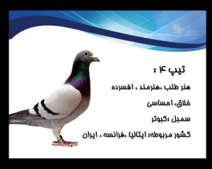 انیاگرام تیپ 4