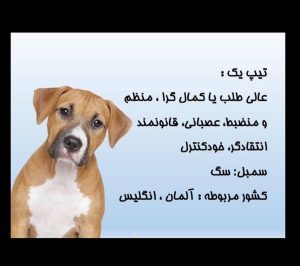 تیپ 1 انیاگرام