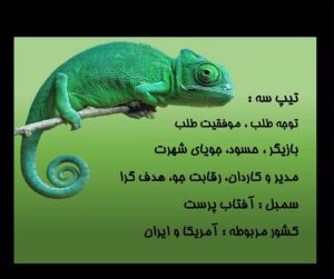 تیپ 3 انیاگرام