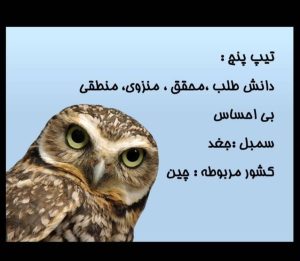 تیپ 5 انیاگرام