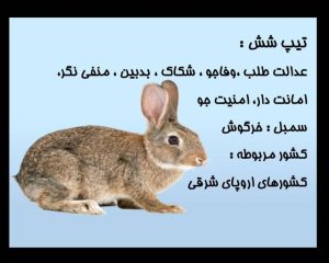 تیپ 6 انیاگرام