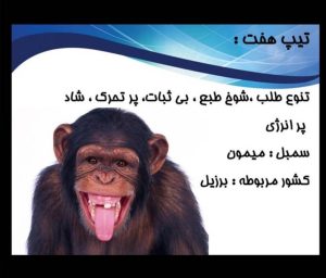 تیپ 7 انیاگرام