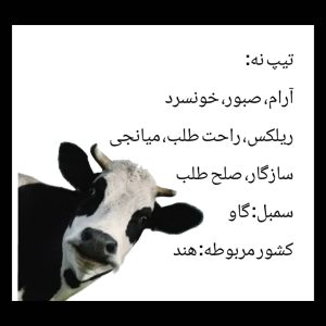 تیپ 9 انیاگرام